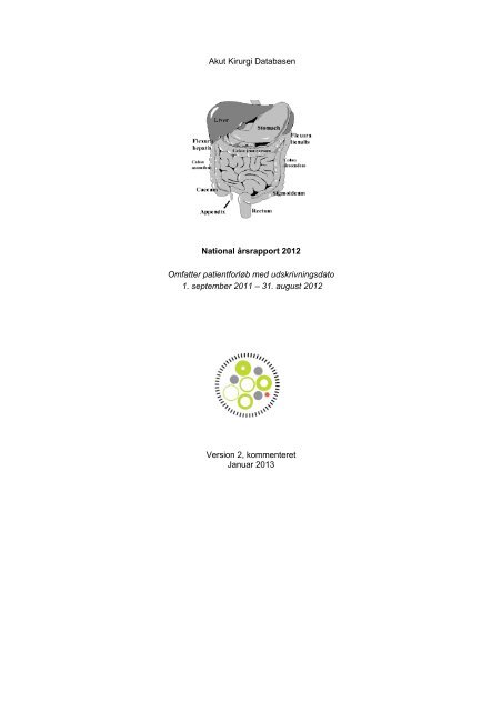 Dokumentalist rapport: - Sundhed.dk