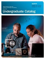 Undergraduate Catalog 2011-2013 - SUNY Institute of Technology