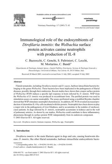 the Wolbachia surface protein activates canine neutrophils with