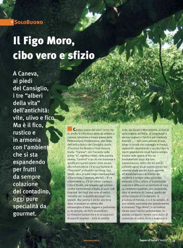 Il Figo Moro, cibo vero e sfizio - Figs 4 Fun