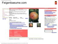 Fruchtfeige MÃ¨re VÃ©ronique online bestellen - Figs 4 Fun