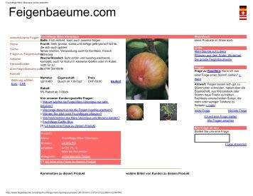 Fruchtfeige MÃ¨re VÃ©ronique online bestellen - Figs 4 Fun