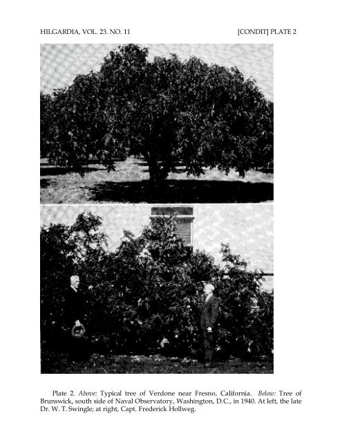 Fig Varieties: A Monograph - uri=ucce.ucdavis