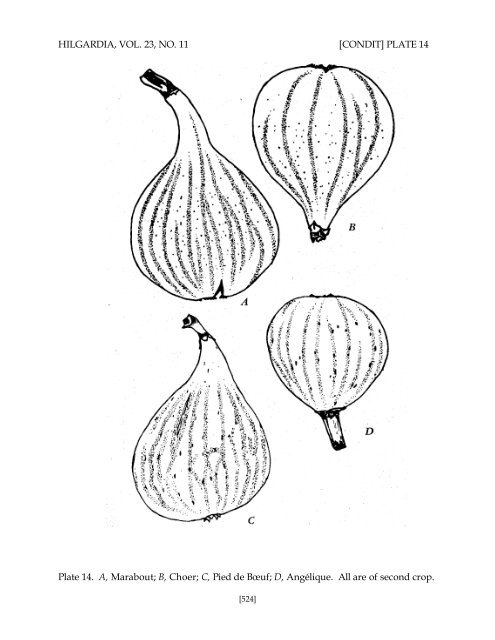 Fig Varieties: A Monograph - uri=ucce.ucdavis