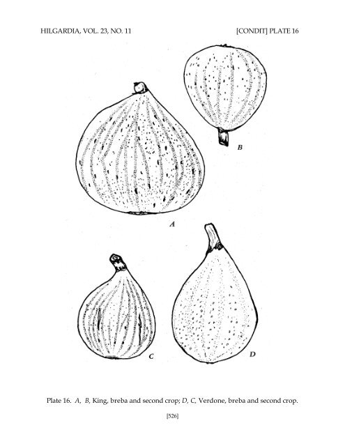 Fig Varieties: A Monograph - uri=ucce.ucdavis