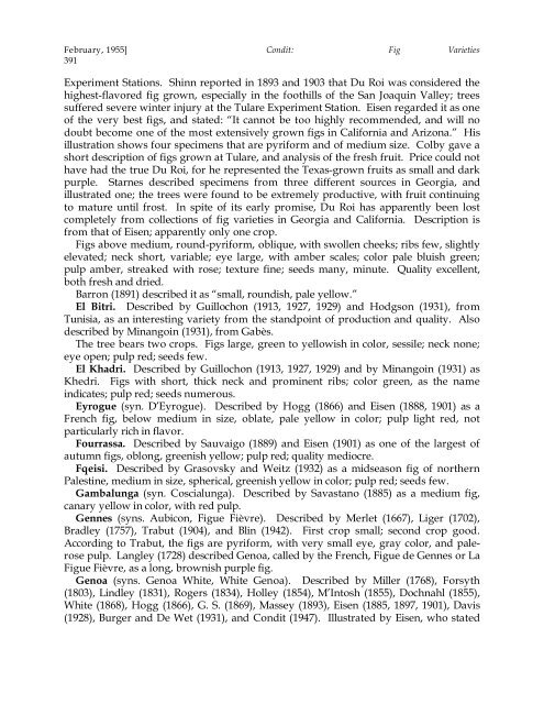 Fig Varieties: A Monograph - uri=ucce.ucdavis