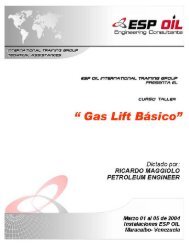 Gas_Lift_BÃ¡sico - LIBROS DE INGENIERA DE PETROLEO Y GAS