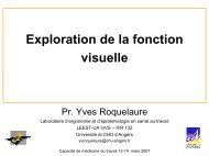 Exploration de la fonction visuelle - UniversitÃ© d'Angers