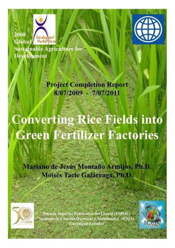 Converting Rice Fields into Green Fertilizer Factories - DSpace en ...