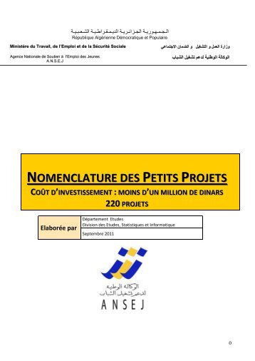 Nomenclature des petits projets (deuxiÃ©me version ... - ANSEJ