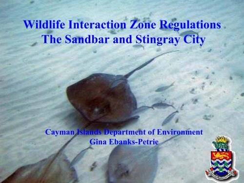 Stingray City - Caribbean Tourism Organization