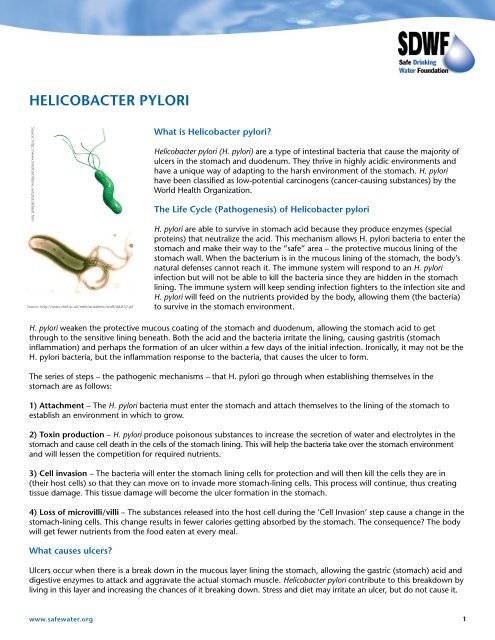 Helicobacter Pylori Safe Drinking Water Foundation