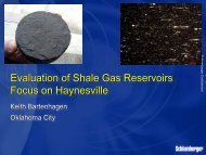 Evalutation of Shale Gas Reservoirs with Focus on the Haynesville ...