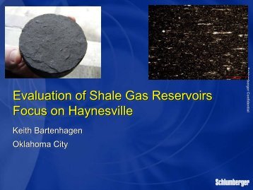 Evalutation of Shale Gas Reservoirs with Focus on the Haynesville ...