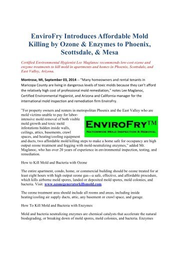 EnviroFry Introduces Affordable Mold Killing by Ozone & Enzymes to Phoenix, Scottsdale, & Mesa