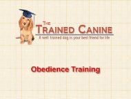 Obedience Training