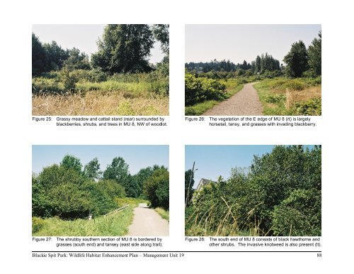 Blackie Spit Park: Wildlife Habitat Enhancement Plan - City of Surrey