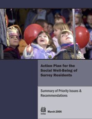 Action Plan for the Social Well-Being of Surrey ... - City of Surrey