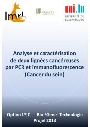 Cancer du sein