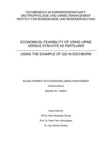 bachelor thesis hsrw