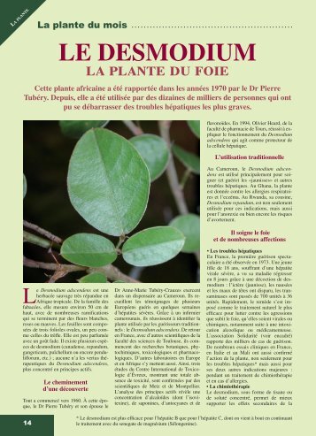 LE DESMODIUM