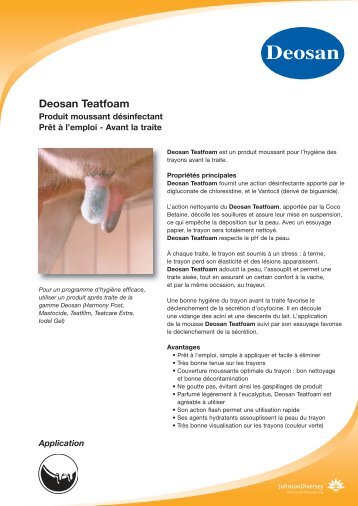 DEOSAN TEATFOAM:BASE FICHIER coin - Sogebul