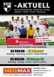 8. Ausgabe vom 04.04.2013 (PDF 6,80MB) - SV 20 Brilon