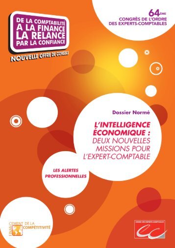 L'intelligence Ã©conomique - Conseil SupÃ©rieur de l'Ordre des ...