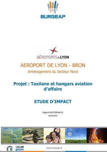 1.Etude d'Impact Environnemental Taxilane+Hangars.pdf