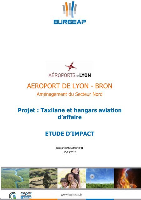 1.Etude d'Impact Environnemental Taxilane+Hangars.pdf