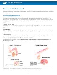 How an erection works - Pfizer.ca