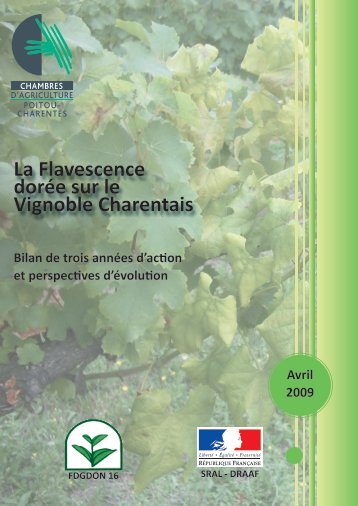 La Flavescence dorée sur le Vignoble Charentais