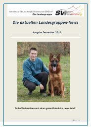 Die aktuellen Landesgruppen-News - SV Berlin Brandenburg