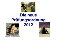 Die neue Prüfungsordnung 2012 – IPO-V