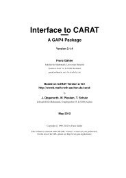 3 Interface to CARAT - GAP