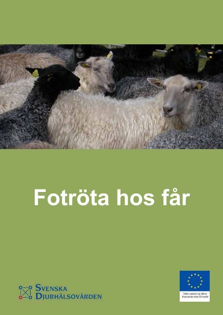 FotrÃ¶ta hos fÃ¥r - Svenska DjurhÃ¤lsovÃ¥rden