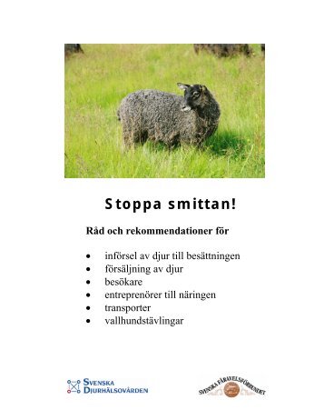 Stoppa smittan! - Svenska DjurhÃ¤lsovÃ¥rden