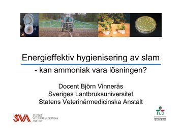 05 VinnerÃ¥s Energieffektiv hygienisering av slam.pdf - Svenskt Vatten