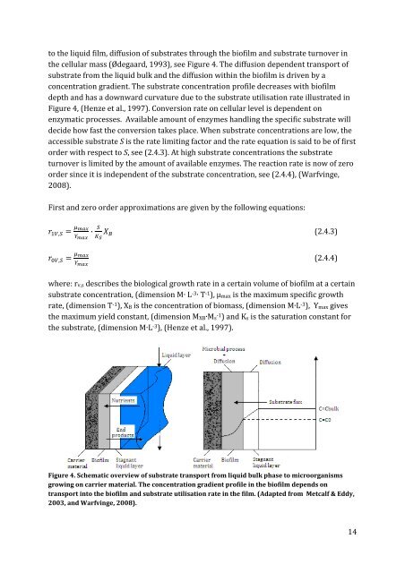 N2O production in a single stage nitritation/anammox MBBR process