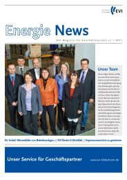 Die energieNews 2011/1 - Energieversorgung Hildesheim