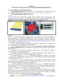 Stocarea si virtualizarea stocarii in sistemele informatice