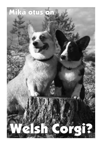 Welsh Corgi? - Suomen Welsh Corgi Seura