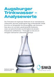 Trinkwasseranalyse (PDF, 0,35 MB) - Stadtwerke Augsburg
