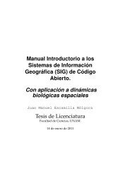 Manual introductorio a los Sistemas de InformaciÃ³n GeogrÃ¡fica - SW ...