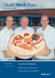 Ausgabe 02.2008 - Stadtwerke Wedel