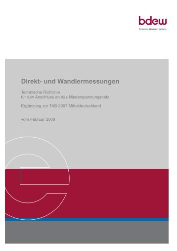 Direkt- und Wandlermessungen - Netzgesellschaft Forst (Lausitz)