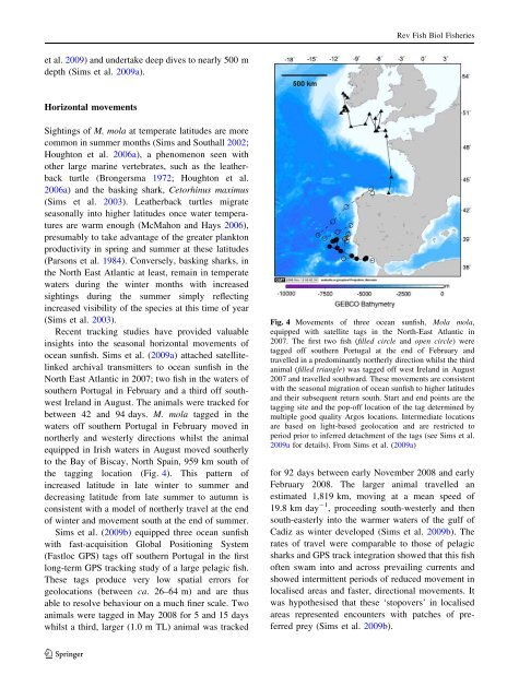 The biology and ecology of the ocean sunfish - Swansea University