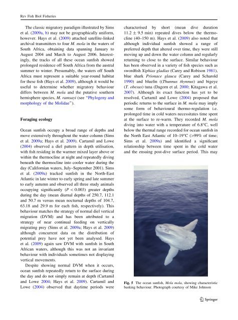 The biology and ecology of the ocean sunfish - Swansea University