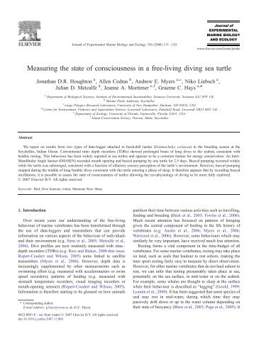 Measuring the state of consciousness in a free-living diving sea turtle