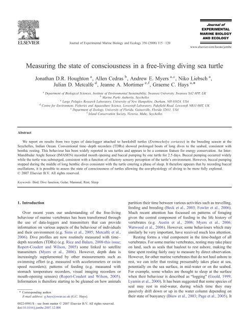 Measuring the state of consciousness in a free-living diving sea turtle